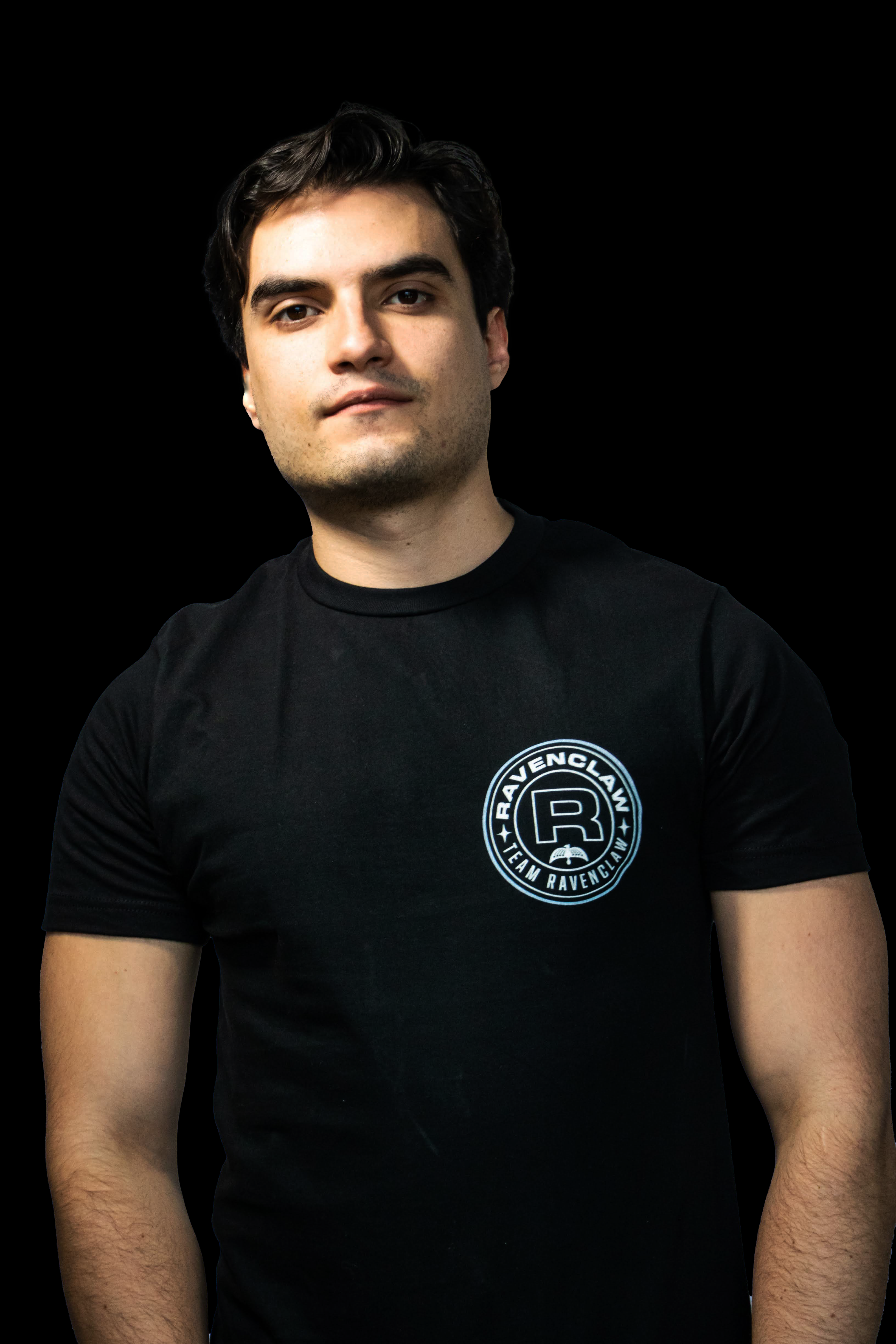 Playera Harry Potter Team Ravenclaw - Fan Army