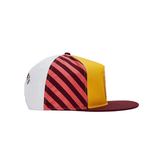 Gorra Harry Potter Casas Gryffindor