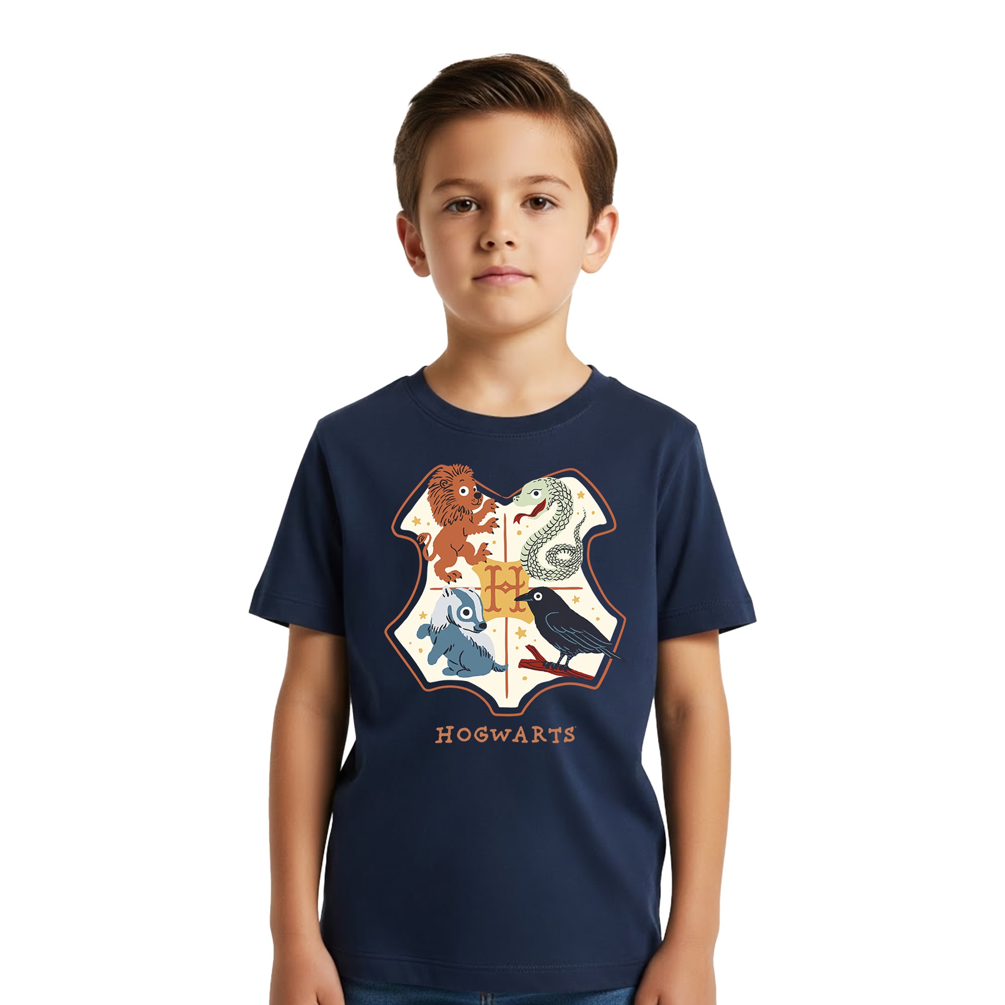 Playera Niño Harry Potter Niño Niña Azul Marino Warner Original Quidditch
