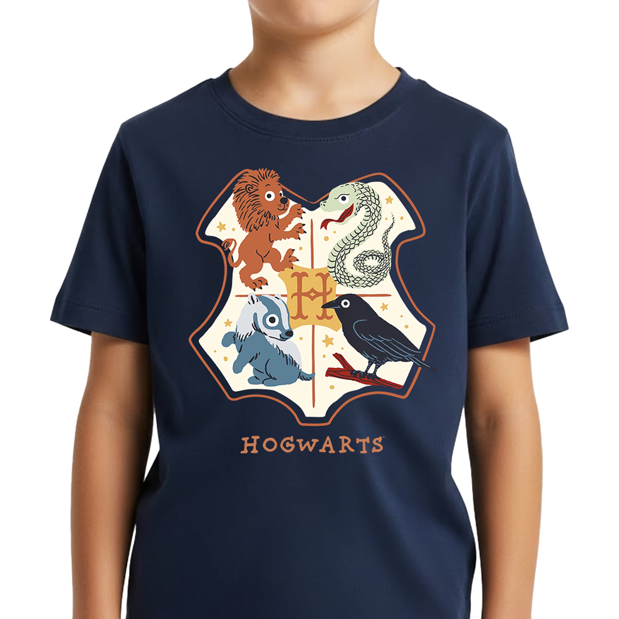 Playera Niño Harry Potter Niño Niña Azul Marino Warner Original Quidditch