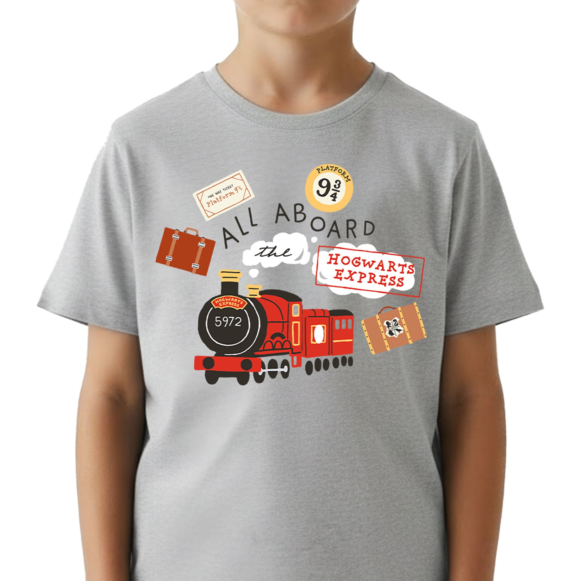 Playera Niño Harry Potter Niño Niña Gris Warner Original Hogwarts Express