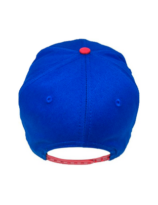 Gorra Pokémon Pokebola